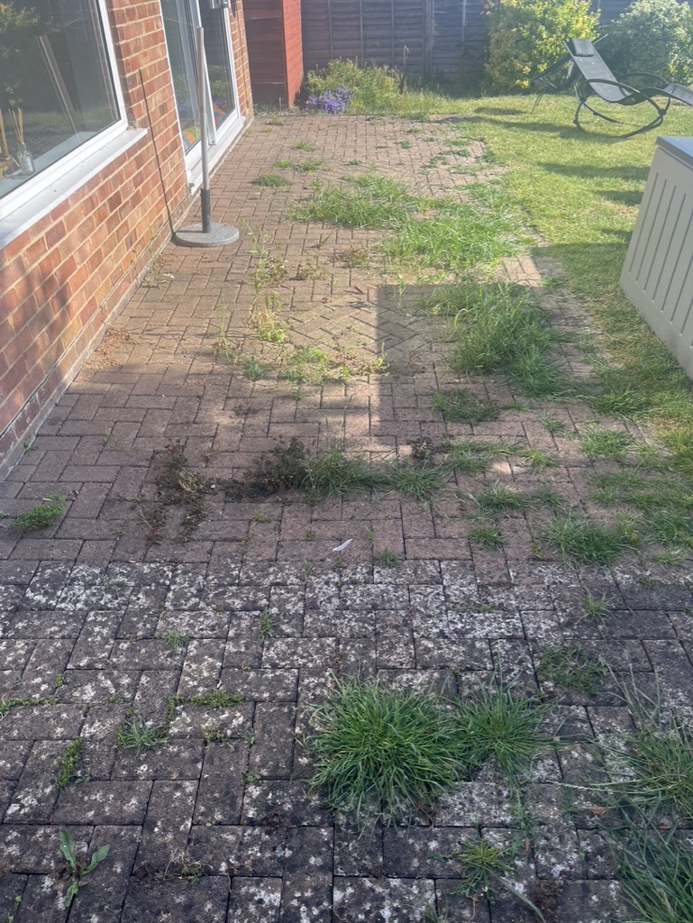 Patio restoration before