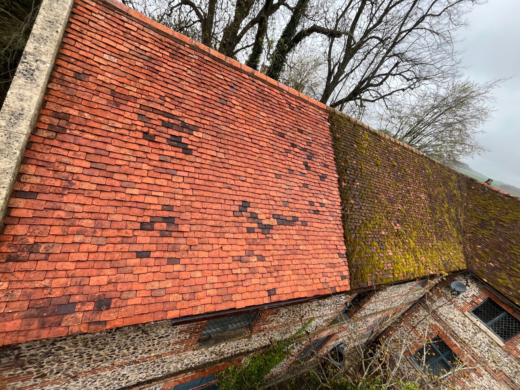 Wide view of a cleaned clay tile roof after restoration