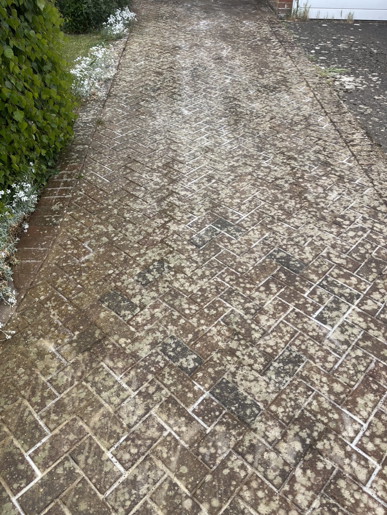 Driveway with heavy moss and lichen before cleaning